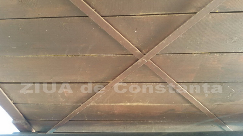 o oaza de liniste inconjurata de caini vagabonzi in parcul tabacarie galerie foto 559873
