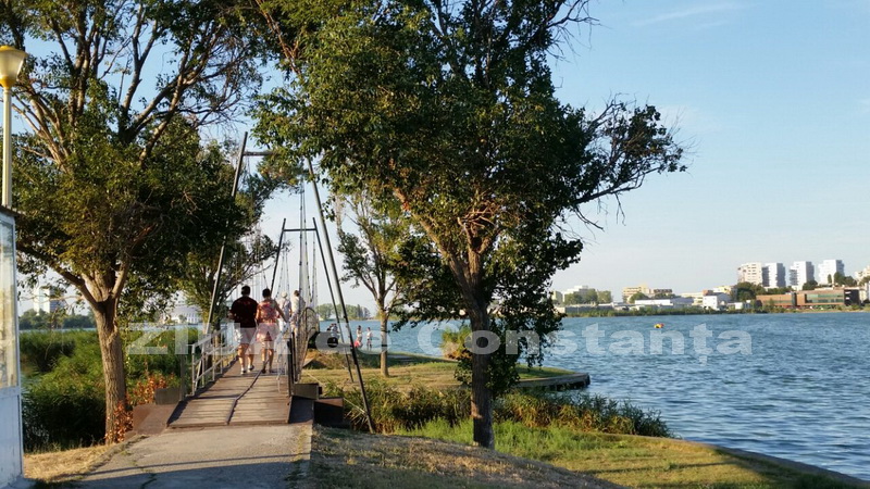 o oaza de liniste inconjurata de caini vagabonzi in parcul tabacarie galerie foto 559873