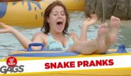Funny video Farsa cu şarpele