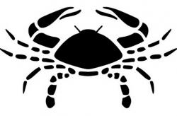 Rac ​– 07.09. – 13.09.2013