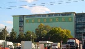 Dobrogea Grup SA a prelungit mandatul auditorului financiar