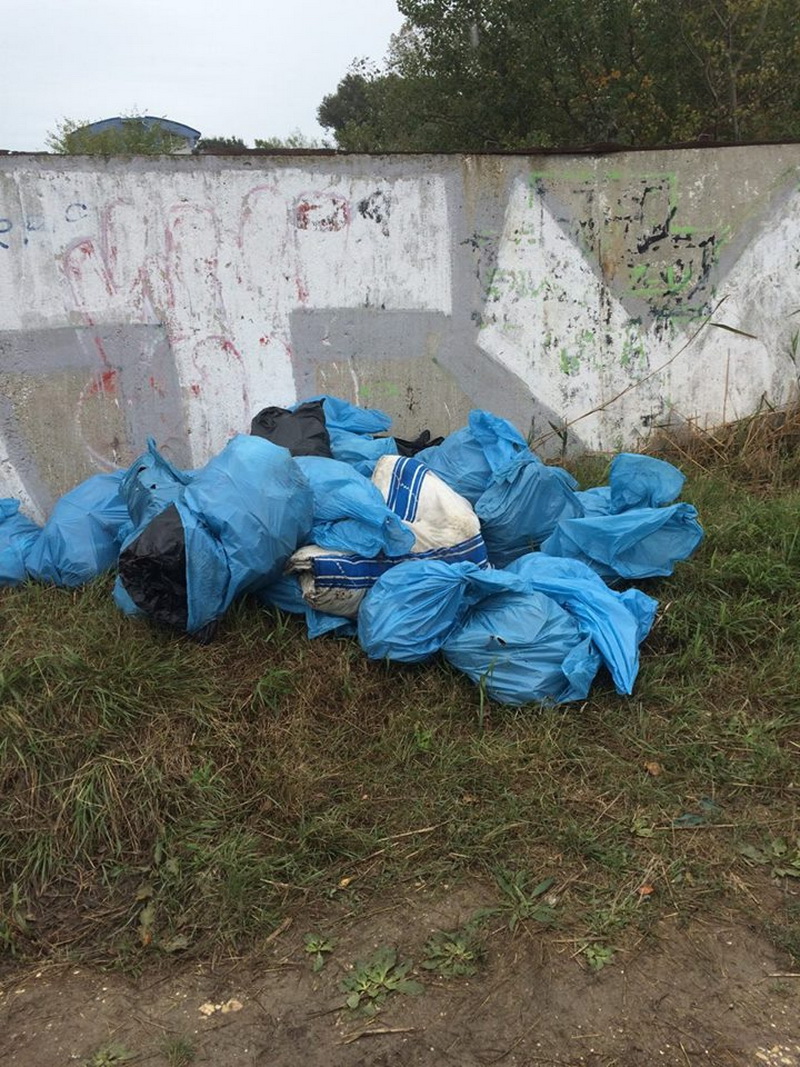 actiune de ecologizare si educatie non formala cum au marcat polaris m holding si primaria ziua verde
