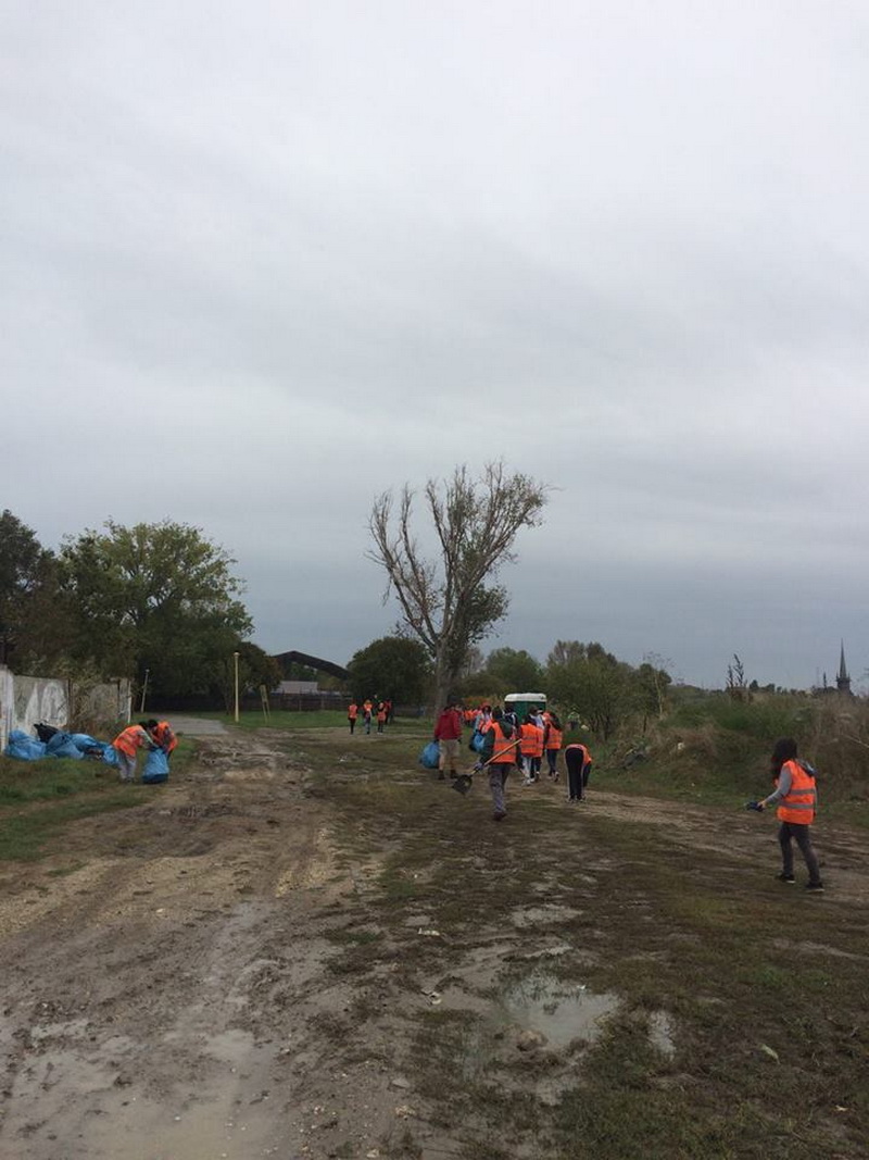 actiune de ecologizare si educatie non formala cum au marcat polaris m holding si primaria ziua verde