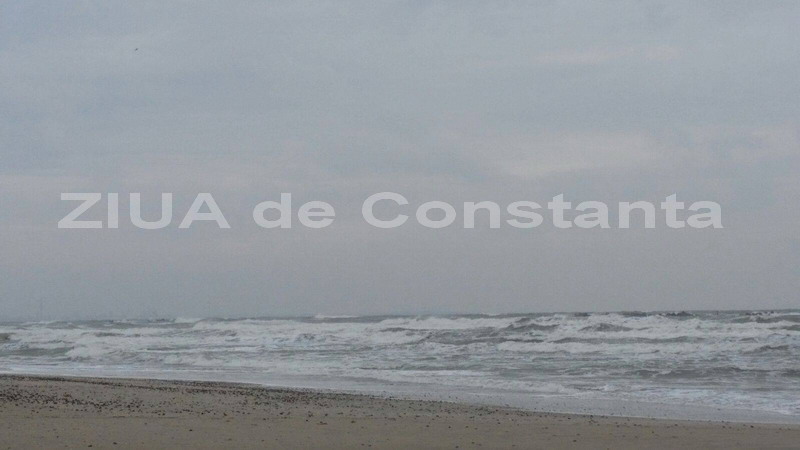 marea involburata 568272