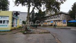 Lot vândut de Primărie către soţul unei angajate O patiserie se ridică „pe o limbă de pământ“ chiar în faţa Spitalului Judeţean (galerie foto+documente)  