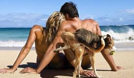 Funny video Imposibil să nu râzi