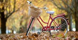 Să vezi şi să nu crezi Primăria Constanţa alocă aproximativ un milion de euro pentru proiectul pistelor de biciclete