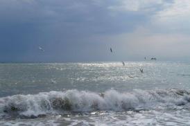 Nou şi oficial. Despre reabilitarea litoralului românesc. Ce lucrări se fac la Constanţa, Mamaia şi Eforie Nord. În ce zone. Detalii tehnice 