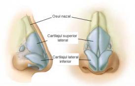 voceaconstantei.ro Rinocorecţia