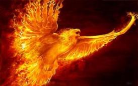 Despre Halloween, Mantre şi Adio Terra! Cu plecare din Bucureşti  