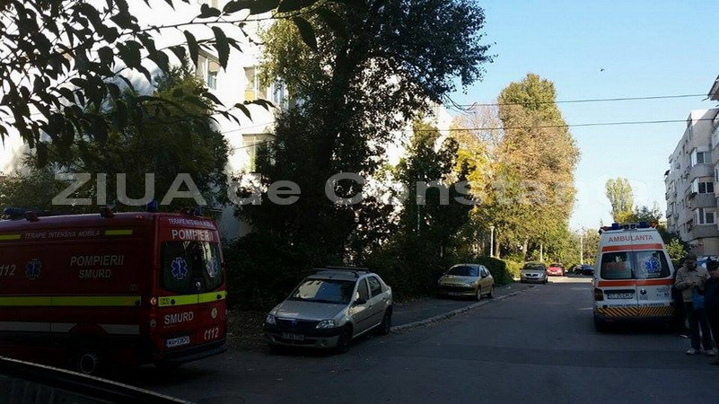 daca el moare murim si noi sotii arava s au sinucis pentru a ramane alaturi de fiul lor decedat dupa