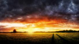 Lumea poeziilor Ana Blandiana - Martorii