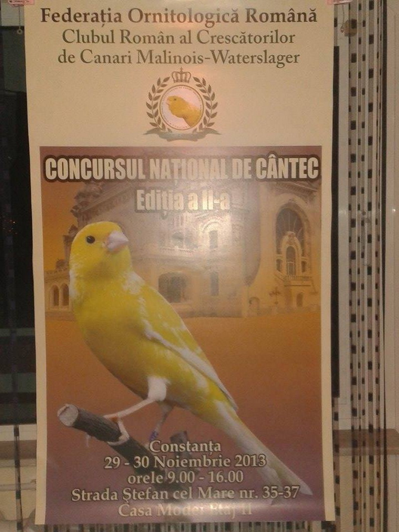 pe teren cu madjer magalhaes si vitor baia mihai stere fost la farul constanta a infruntat vedetele lui
