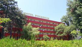 Patronul, membru al Asociaţiei Litoral - Delta Dunării Hotelul Piccadilly din Mamaia va avea piscină acoperită