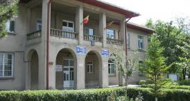 SC SLD Cevalis SRL a furnizat nisip de râu pentru Primăria Negru Vodă (documente)