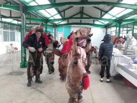 A venit ursul în Piața Griviței! (galerie foto+video)  