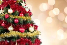 Bradul de Crăciun, decorat în cel mai scurt timp