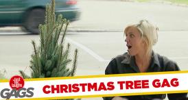 Funny video Pomul de Crăciun