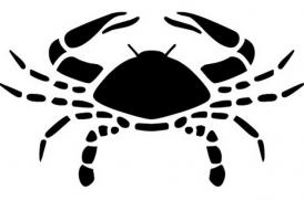 Rac – 28.12.2015 – 03.01.2016 