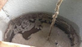 Autoritățile locale sunt în alertă! Ploile din ultimele ore au făcut ravagii la Crucea. Fântânile și grădinile oamenilor au fost inundate (galerie foto)   