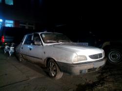 Depistaţi în timp ce transportau lemne fără documente legale