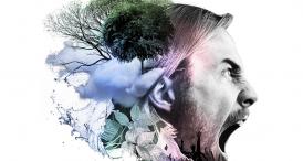 umblat.ro Spellground-festivalul vibeului pozitiv