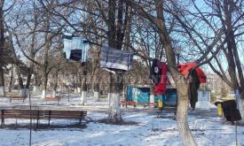 UPDATE Reprezentanţii TSD preiau ideea. Copaci îmbrăcaţi cu haine în parcul de la gară (galerie foto+video)     