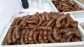 Festivalul Ghiudemului și al Qazıului, în plină desfăşurare (galerie foto+video)