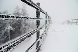 Centrul natura O CRIZĂ ESTE O OPORTUNITATE