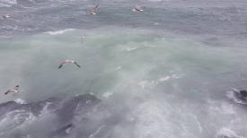 Avertizare de vreme rea pentru județul Constanța. Valabilă peste câteva ore. Ce ne așteaptă până mâine   