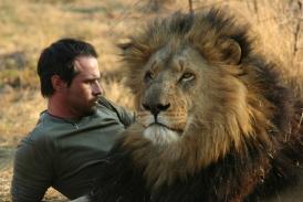 Cum definim dragostea? Ce este dragostea, de fapt? Vedeți în imaginile următoare! (video)