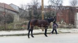 Doamne, dacă-mi eşti prieten...  