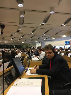 Primarul Brăiloiu în şedinţe la Bruxelles 