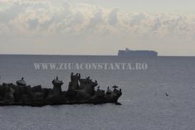 Centrul natura Săptămâna OBSERVĂRII DEPENDENȚELOR