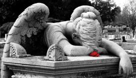 Anunțuri 11 februarie 2016