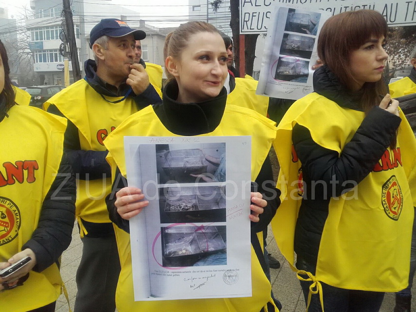 protest al angajatilor casei de amanet garant in fata parchetului de pe langa judecatoria constanta galerie