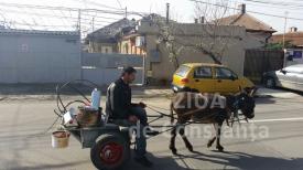 Măgărușul... strângător, din nou pe străzile din Constanța (video) 