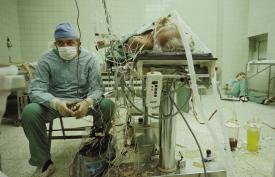 transplant de inimă anti-îmbătrânire elvețiană)