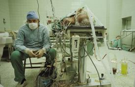 Transplant de inimă anti-îmbătrânire elvețiană israel cremă antirid