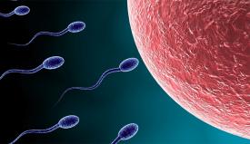 Voceaconstantei.ro  Actualităţi în infertilitate