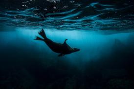 20 de fotografii incredibile, care surprind esența unui anume moment