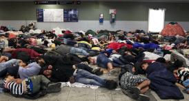 Sondaj de opinie Sunteți de acord ca județul Constanța să găzduiască refugiați?