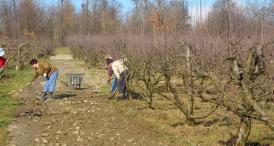 Prăpăd prin judeţul Constanţa, după acţiunile din 2015 ale Corpului de Control al prim-ministrului