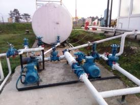 Prejudiciu de 3 milioane de euro Percheziţii la Constanţa într-un dosar de evaziune fiscală. Ce firmă ar fi vizată (galerie foto)