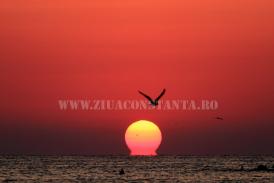 Centrul natura PRIMA ȘI ULTIMA OARĂ