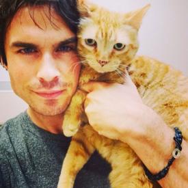 Ipostaze inedite. 15 tipi arătoşi şi pisicile lor 