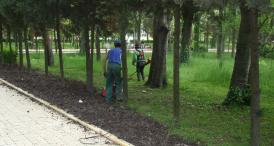 Faleza şi spaţiile de joacă vor avea un suflu nou Zona dintre Eforie Sud şi Eforie Nord intră în „zodia“ curăţeniei generale (galerie foto)