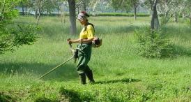 Primăria a demarat campania privind curăţenia de primăvară Cursuri de televiziune pentru copiii din Ovidiu