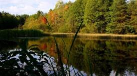 Lumea Poeziilor William Henry Davies - Timp liber