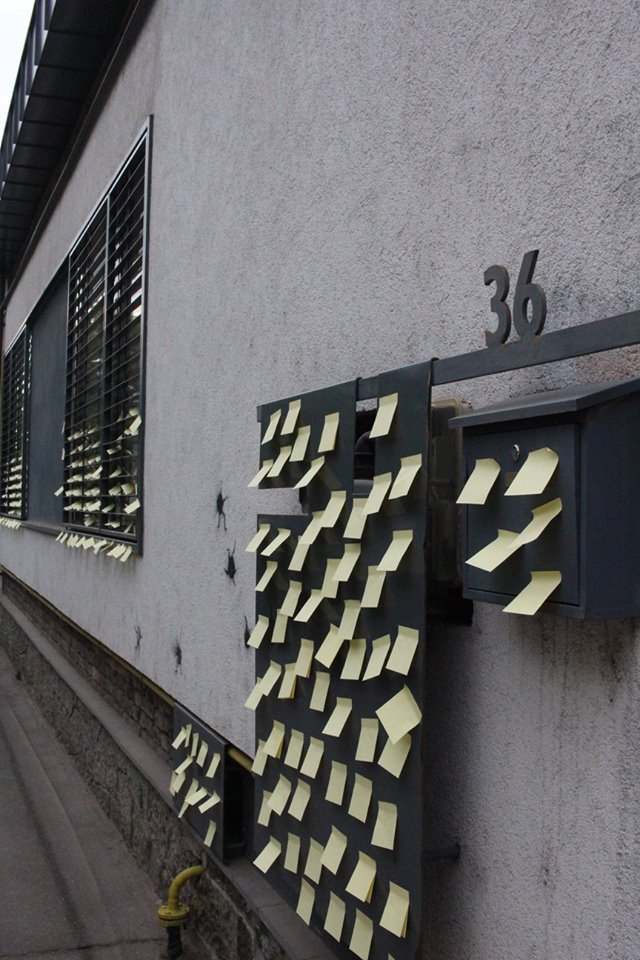 fratele paulei seling a fost prins de politisti in timp ce vandaliza un magazin galerie foto 592626